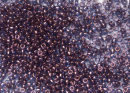 Бисер Япония круглый 11/0 10г 0201 аметист, золотое сияние