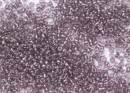 Бисер Япония круглый 15/0 10 г 1010 аметист, серебряная линия внутри